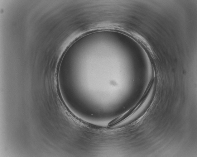 X0000069811288200605191036