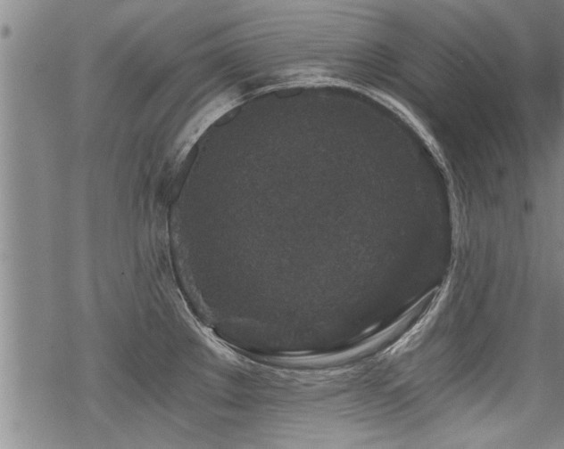 X0000069811289200605191036