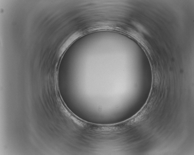 X0000069811290200605191036