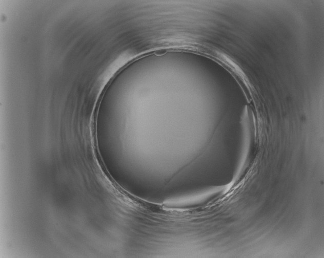 X0000069811291200605191036