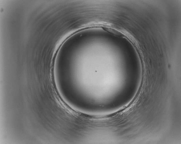 X0000069811296200605191036