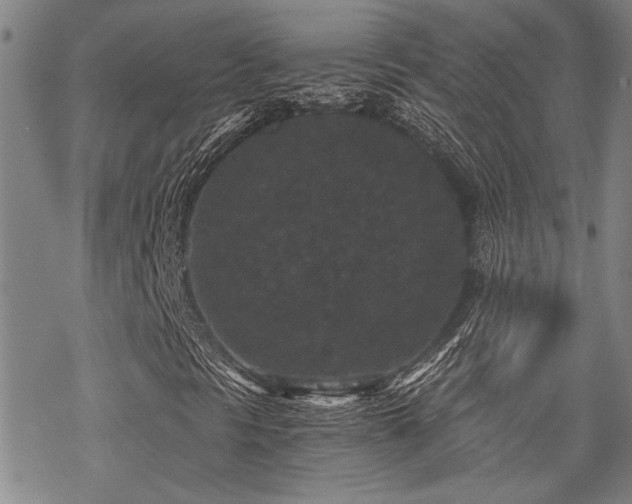 X0000069811297200605191035