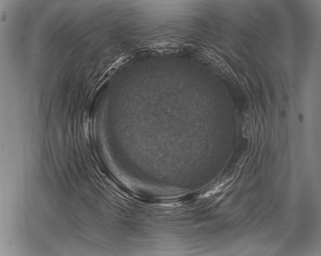 X0000069811298200605191035