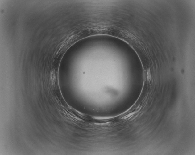 X0000069811299200605191035