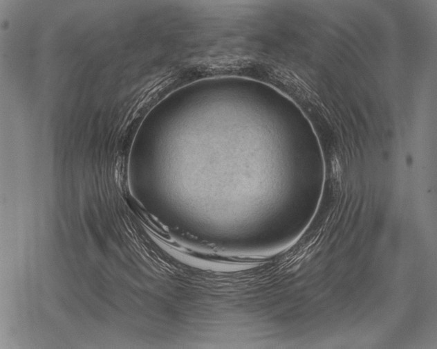 X0000069811300200605191035