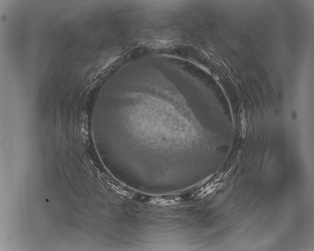 X0000069811301200605191035