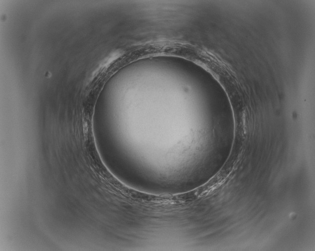 X0000069811302200605191035