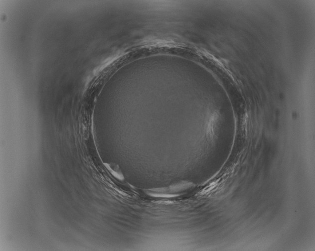 X0000069811303200605191035