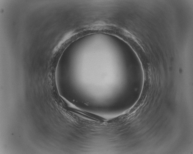 X0000069811304200605191035