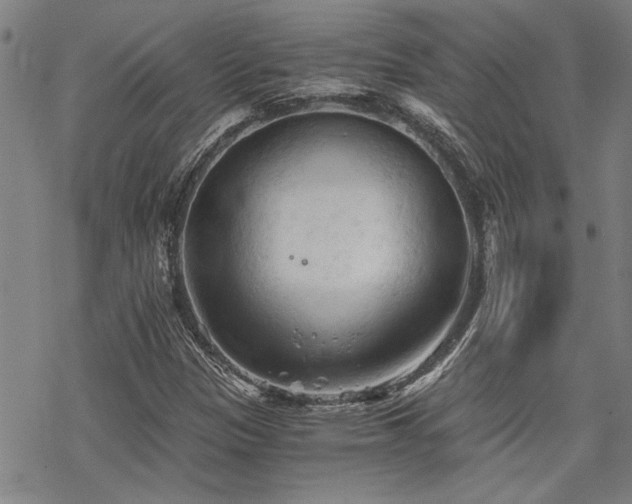 X0000069811305200605191035