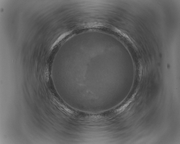 X0000069811306200605191035