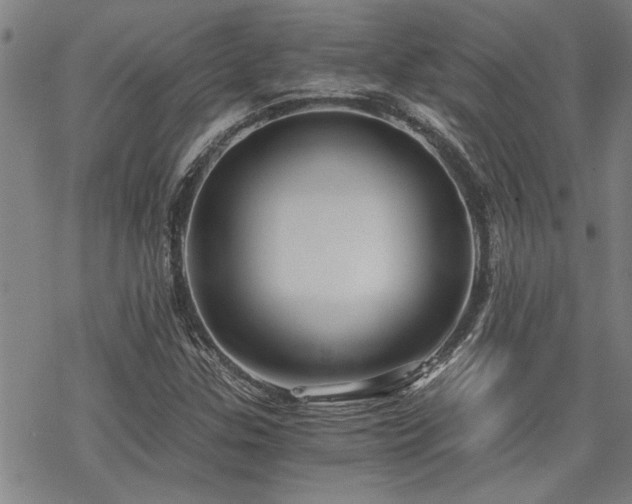 X0000069811307200605191035