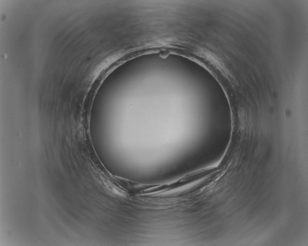 X0000069811308200605191035