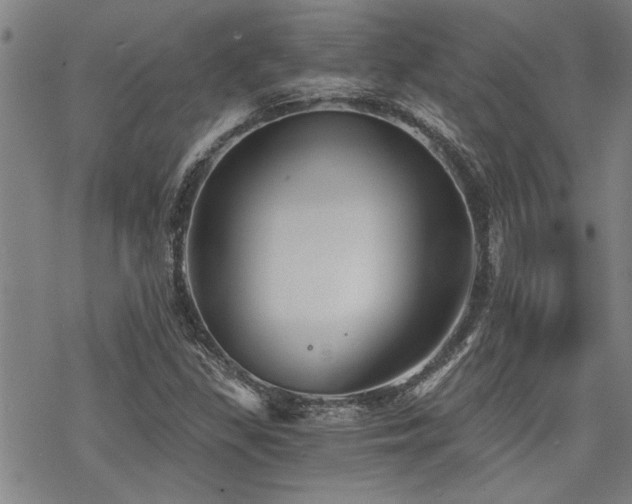 X0000069811309200605191035