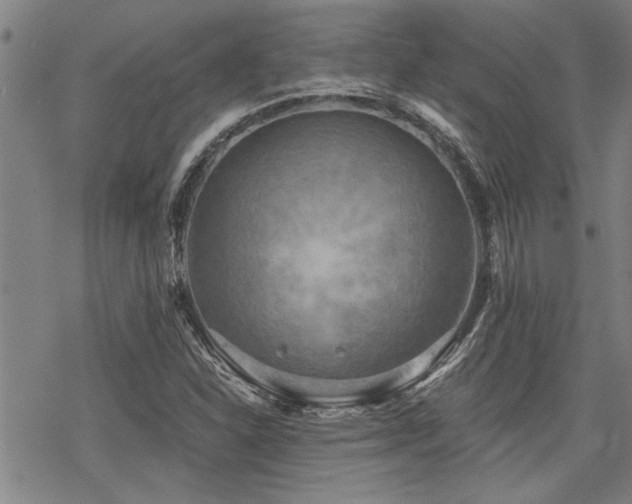 X0000069811310200605191035