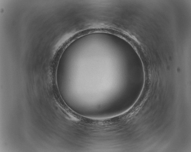 X0000069811311200605191035