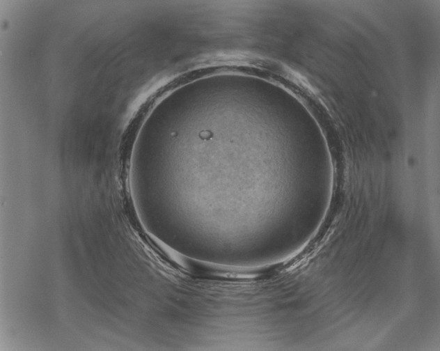 X0000069811312200605191035