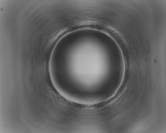 X0000069811313200605191035