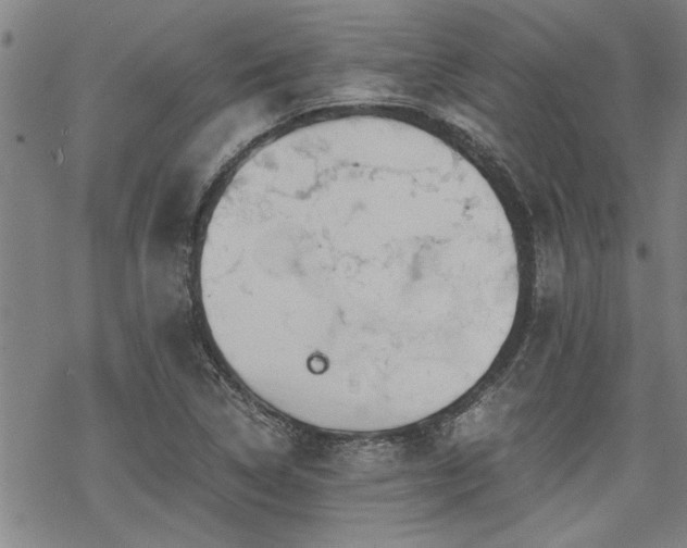 X0000069811314200605191035