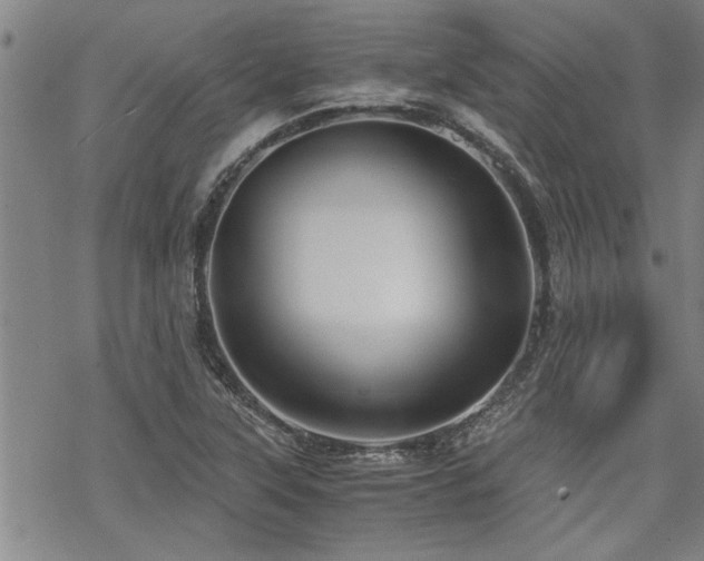 X0000069811315200605191035