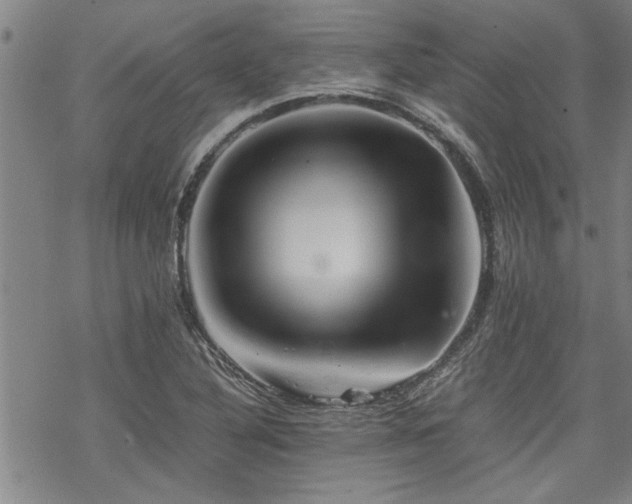 X0000069811316200605191035