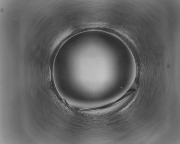 X0000069811317200605191035