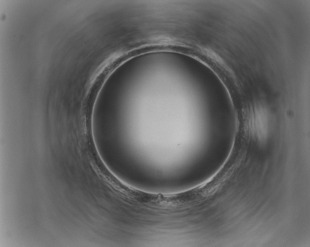 X0000069811318200605191036