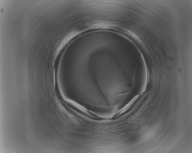 X0000069811323200605191036