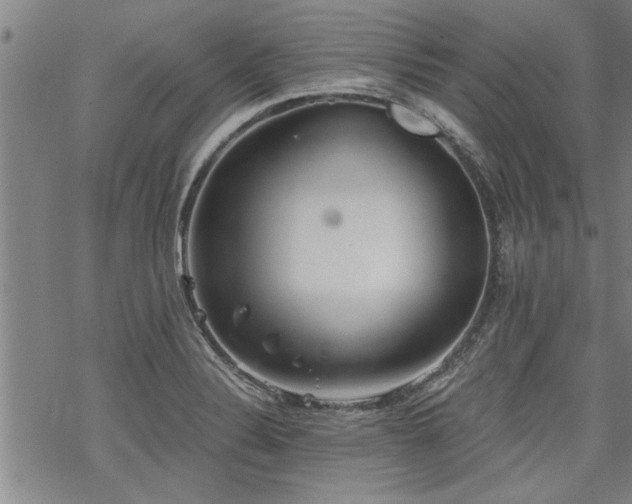 X0000069811324200605191036