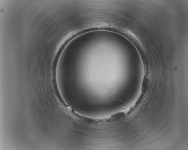 X0000069811326200605191036