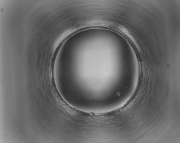 X0000069811328200605191036