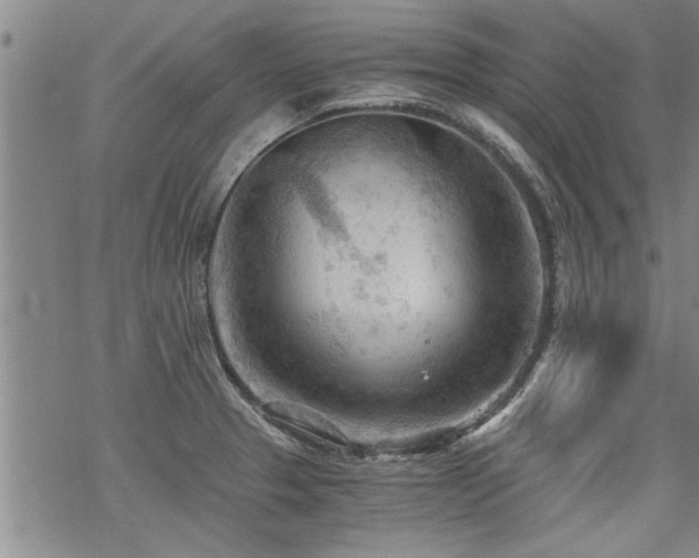 X0000069811329200605191036