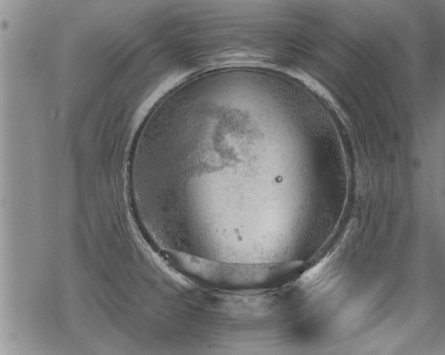 X0000069811333200605191036