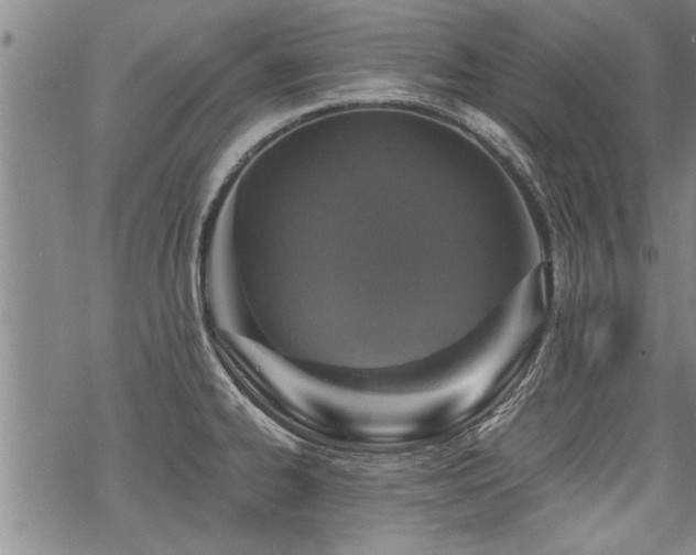 X0000069811334200605191036