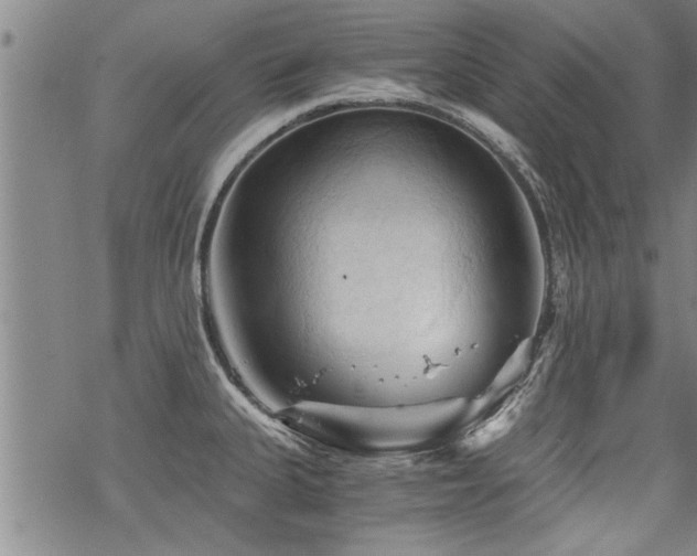 X0000069811335200605191036