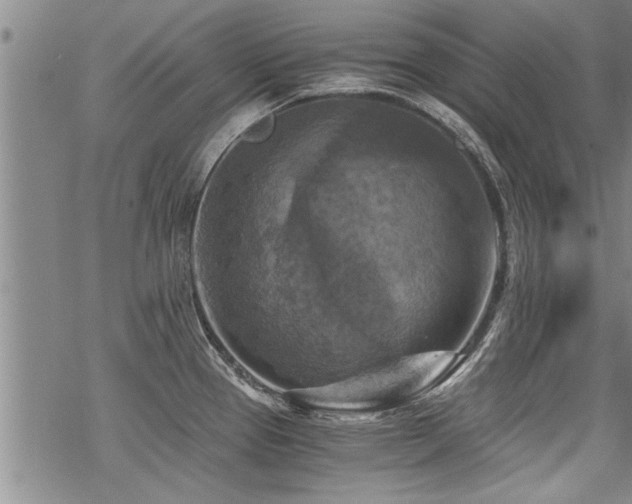 X0000069811337200605191036