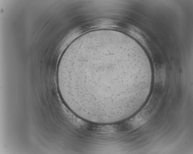 X0000069811338200605191036