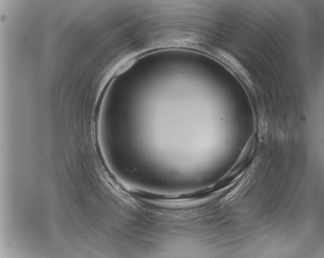 X0000069811340200605191036