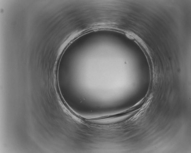 X0000069811341200605191036