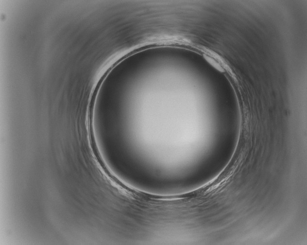 X0000069811343200605191036