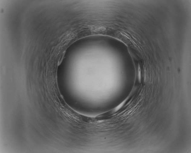 X0000069811345200605191035