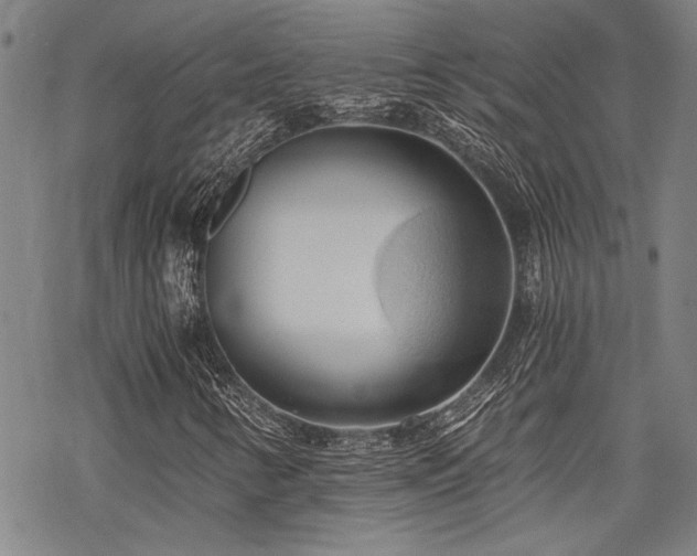 X0000069811346200605191035