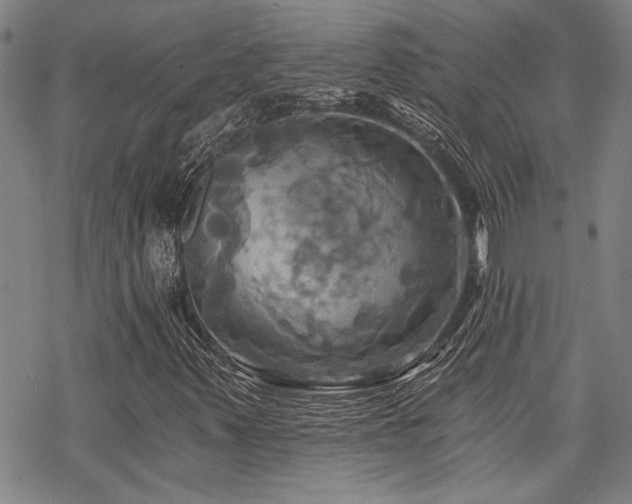 X0000069811347200605191035