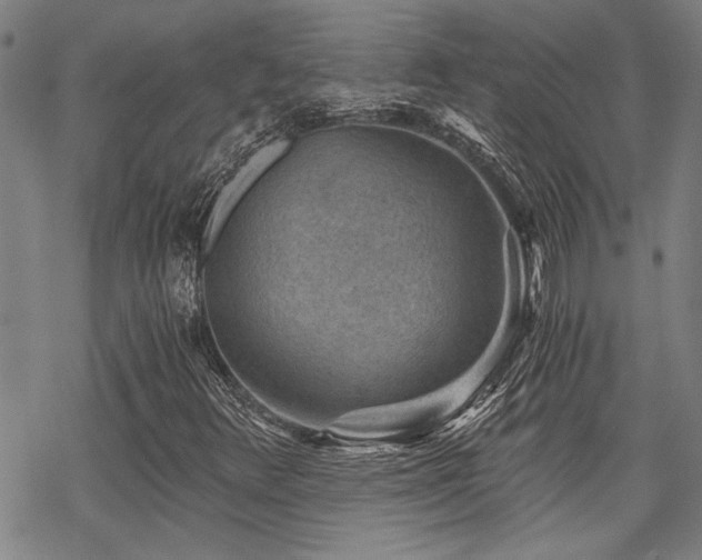 X0000069811348200605191035