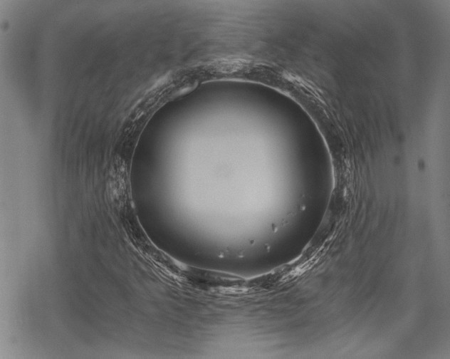 X0000069811349200605191035