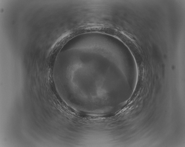 X0000069811351200605191035