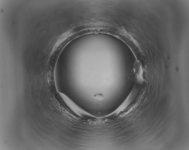 X0000069811352200605191035