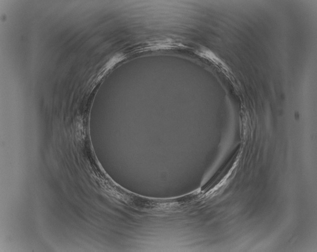 X0000069811353200605191035