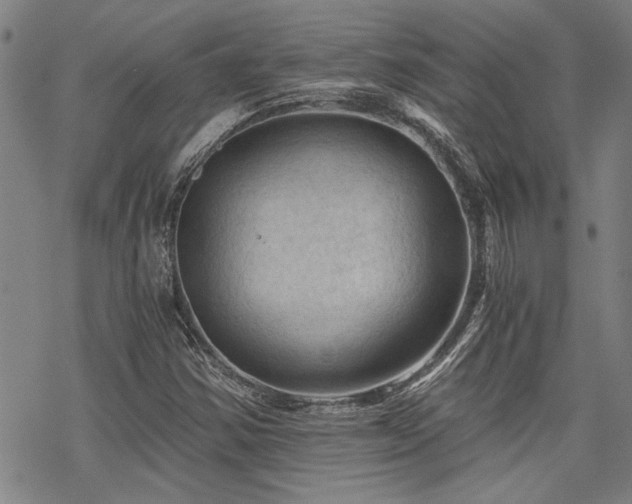 X0000069811354200605191035