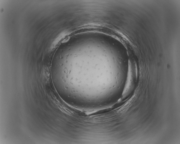 X0000069811355200605191035